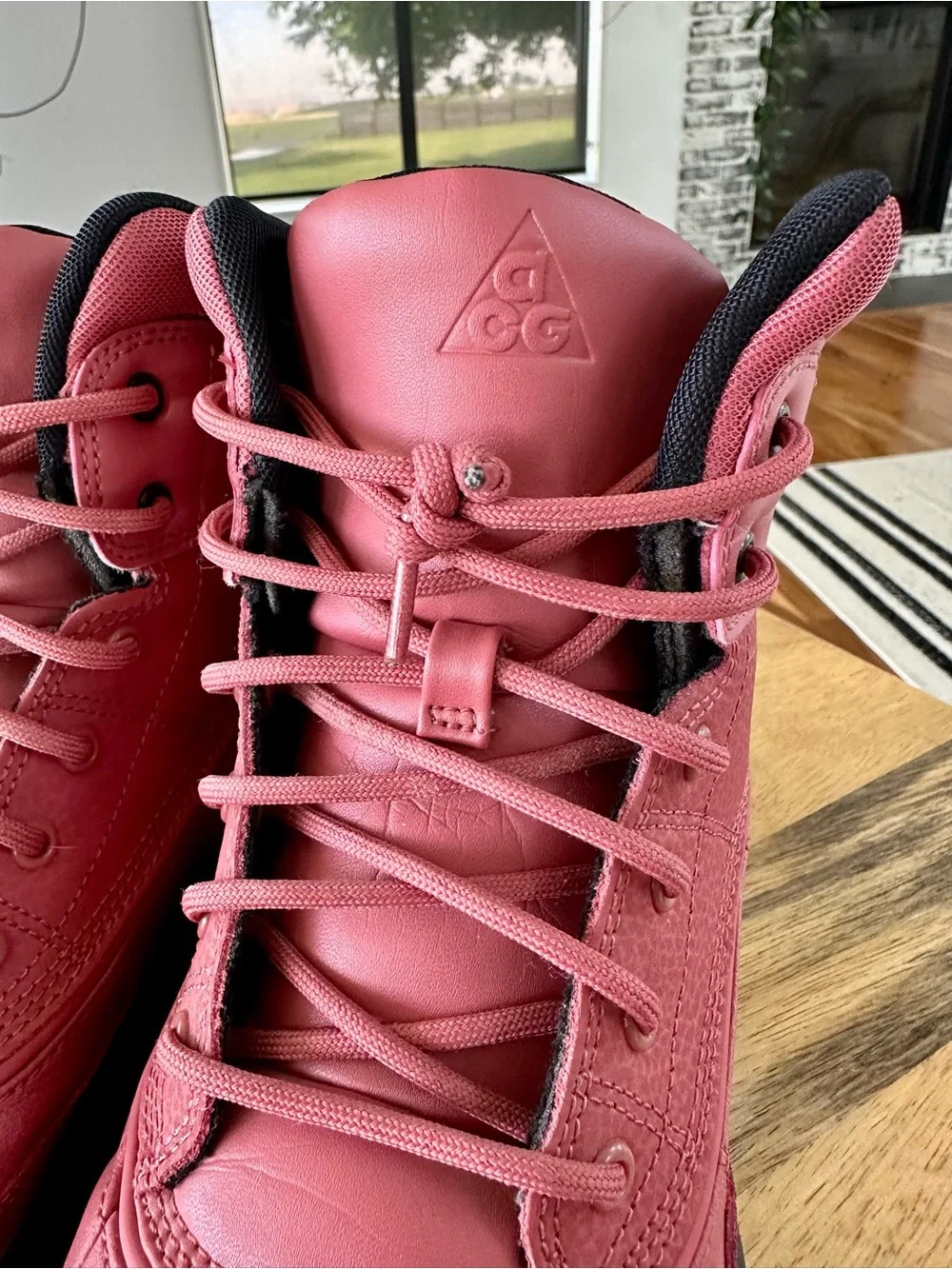 Nike ACG High-Top Sneaker Boots (youth 6.5 / women’s 8)